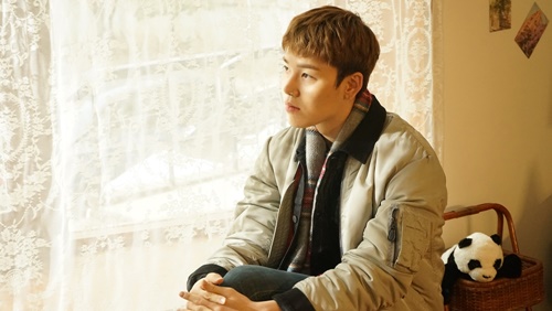 젤로 이미지