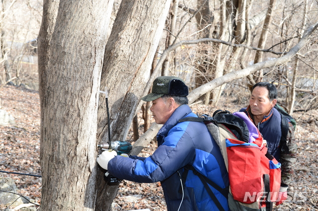 뱀사골특산품 이미지