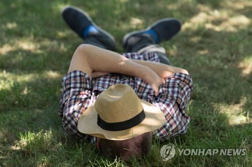 시에스타 이미지