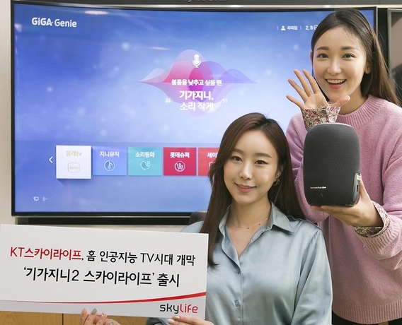 스카이라이프 이미지