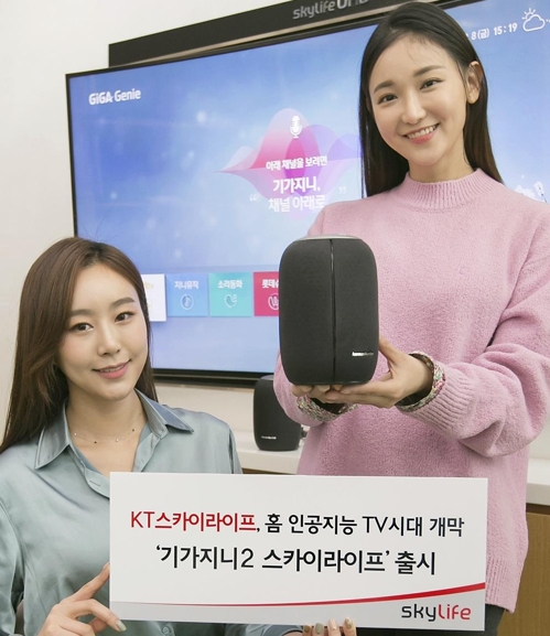 스카이라이프 이미지