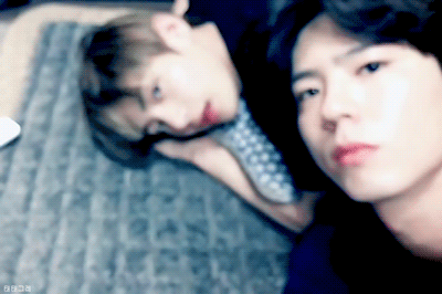 출처 박보검 트위터