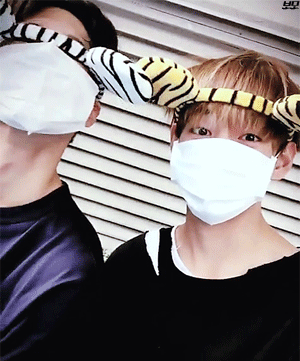 출처 박보검 트위터