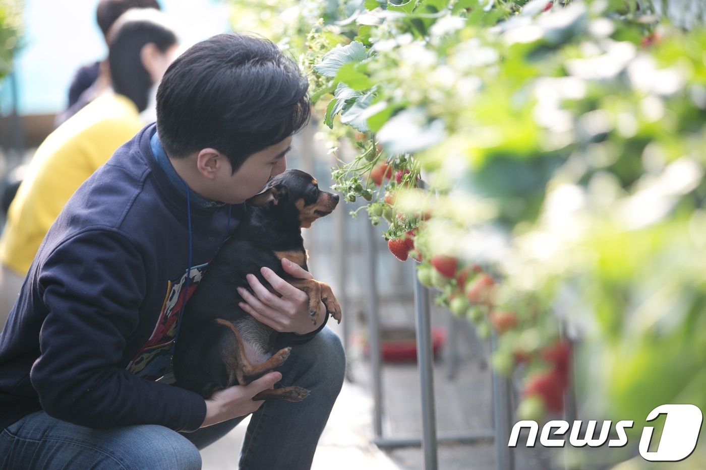 펫츠고트래블 이미지