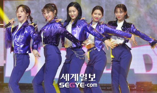 핑크레이디 이미지