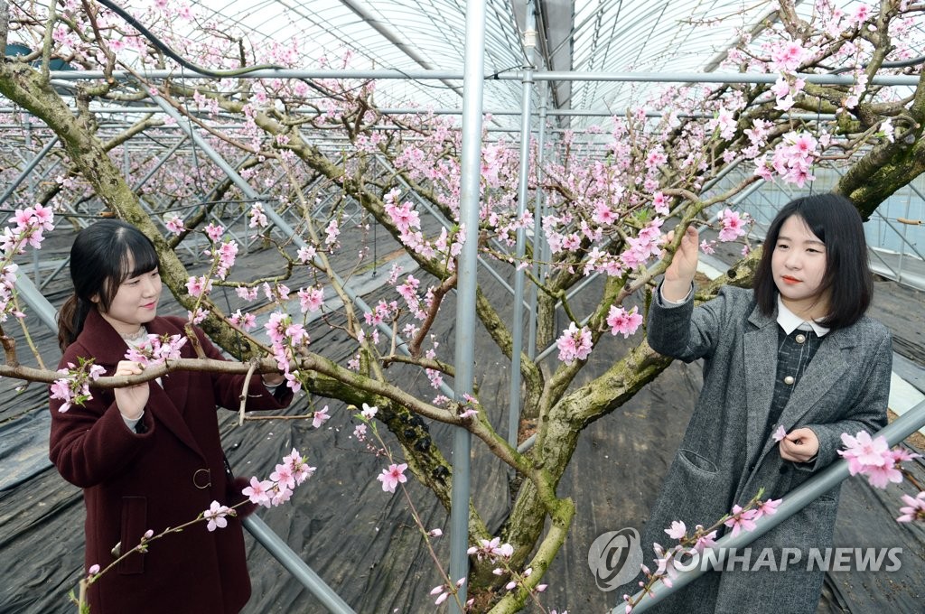 춘향골 이미지