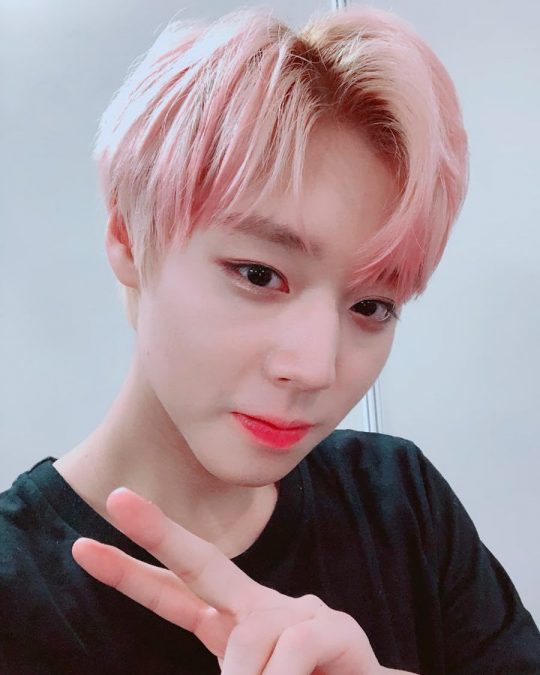 Park Jihoon, a former Wanna One group member, took first place in the Idol with a good pink hair vote held at MBC Plus The Champ.The Champ (IDOLCHAMP), a participatory mobile idol app, voted on the theme of Renewing Leeds with Pink Head! What about human cherry blossom idols for two weeks from February 1.The vote was ranked first with Park Jihoon from Wanna One, accounting for 38.16%.Park Jihoon, who made his name as Wink Boy in Produce 101, enjoyed wearing Pink Sawsuit and items at the time, and became nicknamed Pink Sausage and Bakpurin to fans.Especially at the end of 2017, it became a hot topic with pink hair that makes clean and pure image stand out.Recently, Park Jihoon has been released as a fashion magazine cover model in two hours, and has been selected as a makeup brand Immimi model and proved its infinite potential as a solo.Solo activities are expected to start in earnest with Asian tour fan meetings and domestic solo debut in March.Ren (37.15%) of NUEST took second place.Len wore a pink wig to express the love of the core word of the song during the title song Love Paint of the mini album CANVAS released in 2016.Thanks to natural directing and doll-like appearance, it also created a more dreamy atmosphere.BTS (BTS) bü (10.50%) was named in third place after NUEST Ren.Bue, who recently dominated real-time trends in 22 countries with a man with a mint hair after attending the Grammy Awards with a mint hair, showed off her influence by winning the overwhelming first place in the idol vote held in the United States and China when she had pink hair.In the fourth place, Seventeen was ranked 6.40%, and EXO Baekhyun ranked fifth with 1.72%.In addition, Monster X Gihyeon ranked 6th, Astro Munbin ranked 7th, and Vix Leo ranked 8th.
