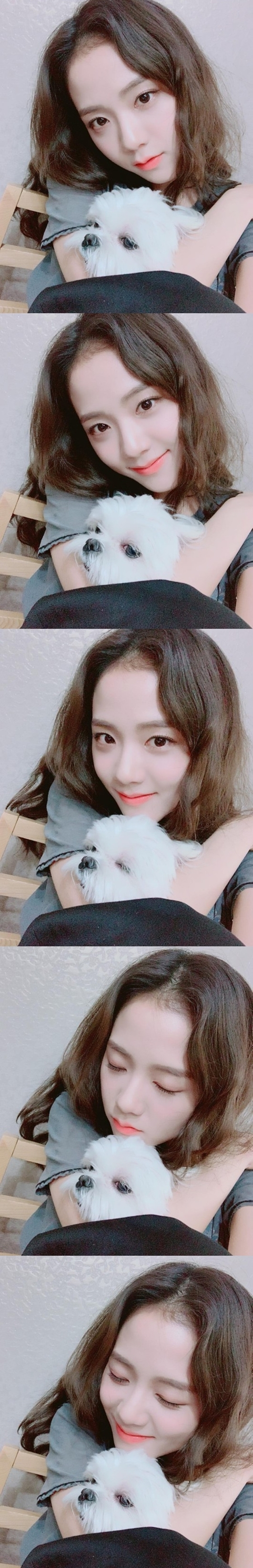Girl group Black Pink member JiSoo released a photo taken with a dog.JiSoo posted several photos on his Instagram account on Monday.In the photo, JiSoo took a selfie with her pet dog, drawing attention with her cute, lovely charm.Netizens responded in various ways such as Oh my God, I am so cute, It is so beautiful and It is really lovely.Meanwhile, Black Pink, which JiSoo belongs to, has successfully completed concerts in Jakarta, Hong Kong, Manila and Singapore, starting with the Bangkok concert on November 11, and is establishing itself as a global idol.