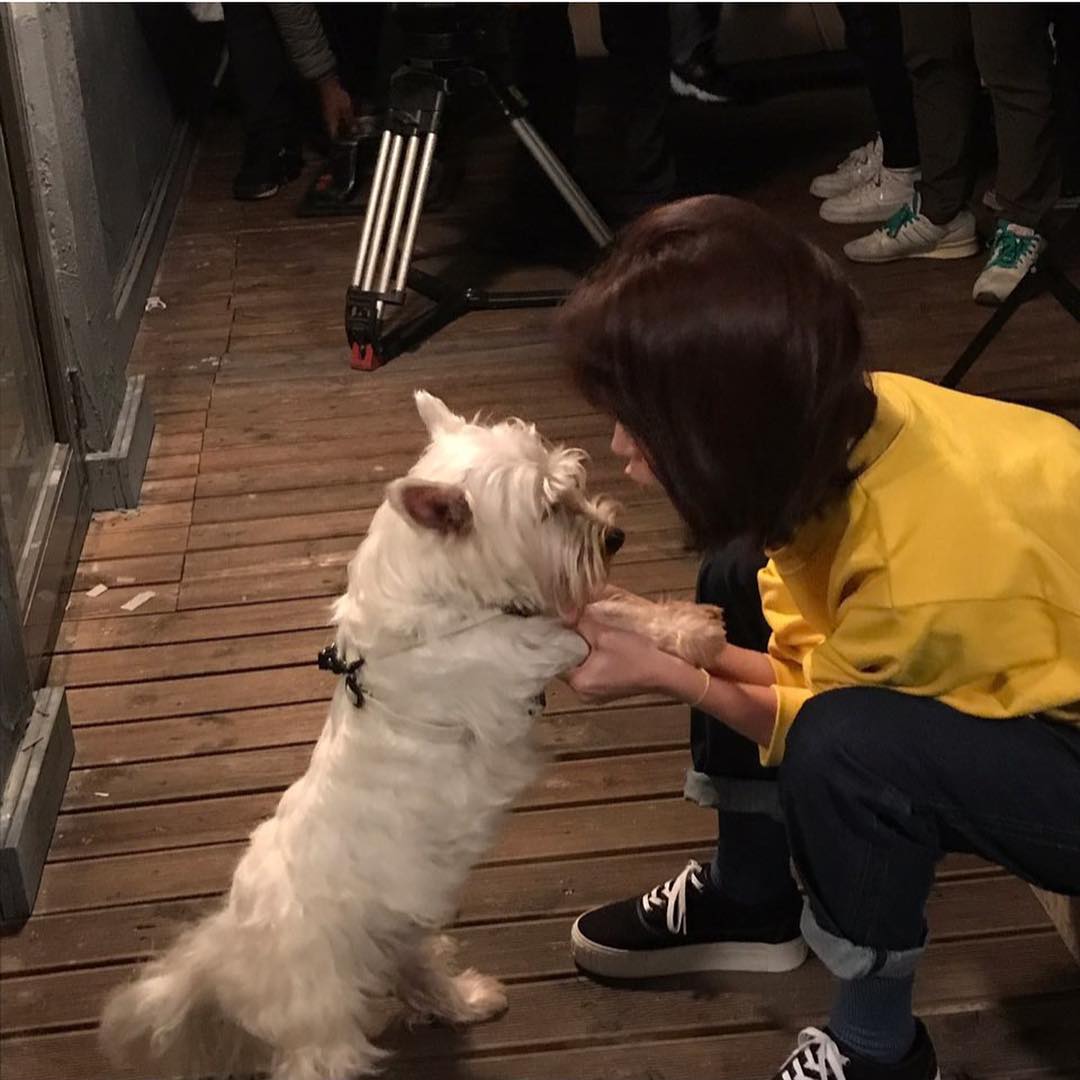 Han Ji-min showed his affection for the puppy rice in Bush the eye.On the 22nd, Han Ji-min posted several photos on his instagram with an article entitled Im sorry about my sister, lets not break up.Han Ji-min in the public photo is full of affection and plays with the rice pool. Unlike the exciting Han Ji-min, the awkward expression of the rice pool stimulates laughter.The JTBC monthly drama Snow Bush, starring Han Ji-min, is broadcast every Monday and Tuesday at 9:30 pm.Photo = Han Ji-min Instagram