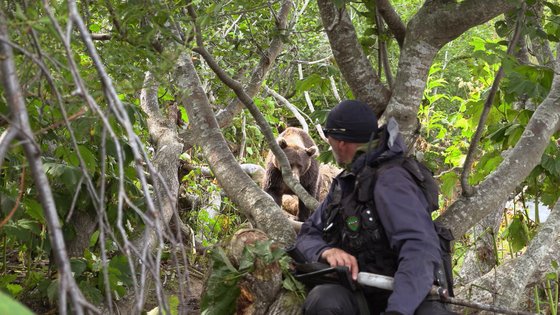 총으로 무장한 채 예민한 불곰들로부터 제작진을 보호하는 레인저 [사진 MBC]
