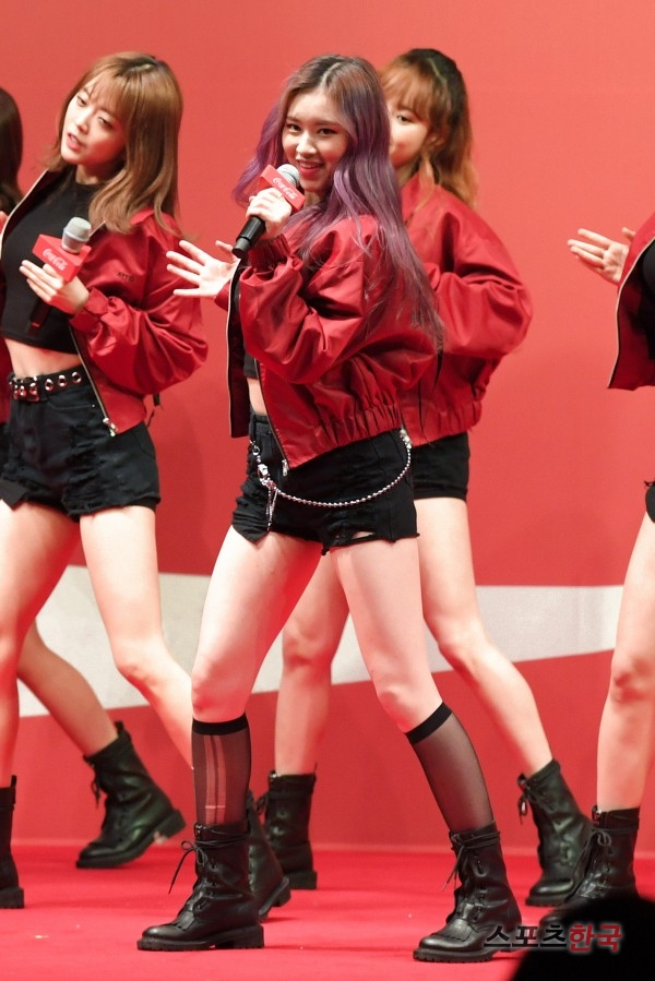 엘리 이미지