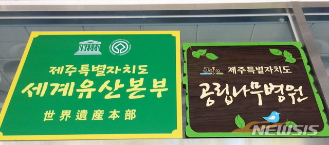 나무컨설팅 이미지