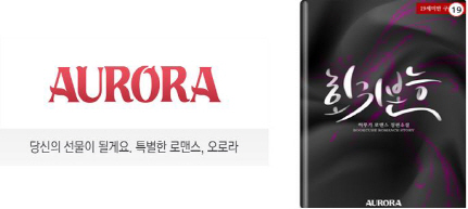 오로라네트웍스 이미지
