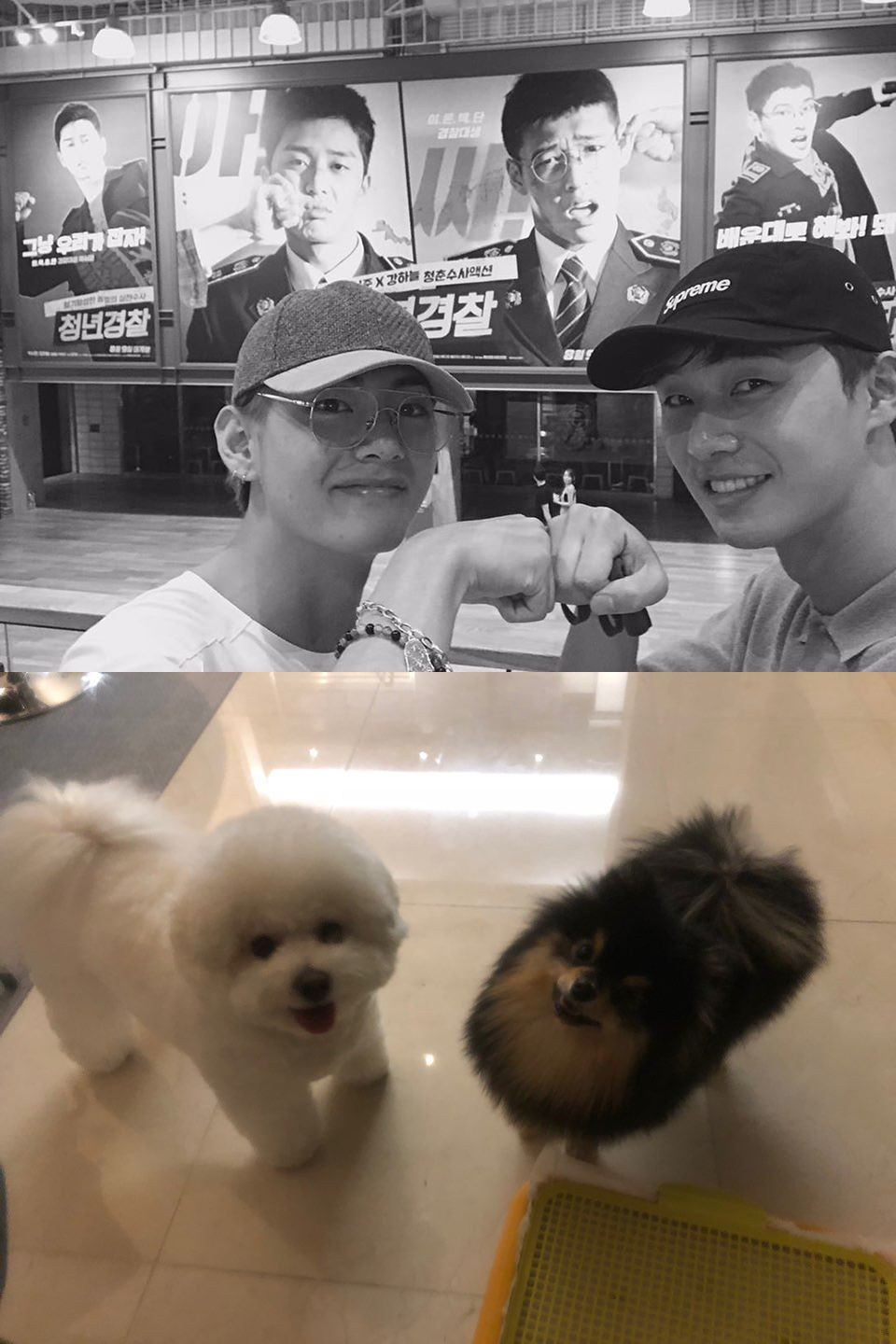 BTS member Bhut and Actor Park Seo-joons companion dog had a dog meeting.On the 27th, Bhu posted a picture on the official SNS of BTS with the phrase Simba x briquettes good fools.Simba and the briquettes are looking at the camera with a clear expression in the photo. These puppies, which are smiled by their mothers, are the dogs of Park Seo-joon and Bhu, who are known as best friends in the entertainment industry.I was enthusiastic about the cute appearance of my dog, which seemed to resemble my owner.On the other hand, BTS, which belongs to BU, won three honors at the Korean Popular Music Award on the 26th.Photo = BTS Twitter, Park Seo-joon Instagram