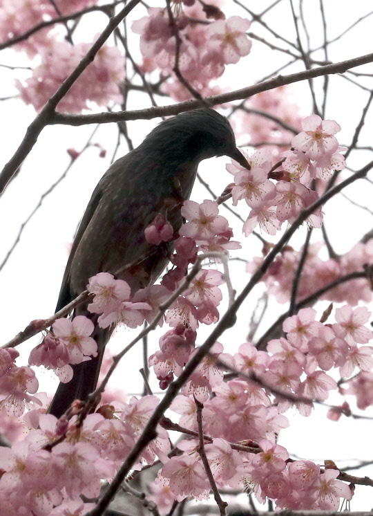 연합뉴스