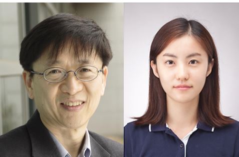 연구에 참여한 최의주 고려대 생명과학과 교수(왼쪽)와 이인영 박사과정생(오른쪽). 한국연구재단 제공