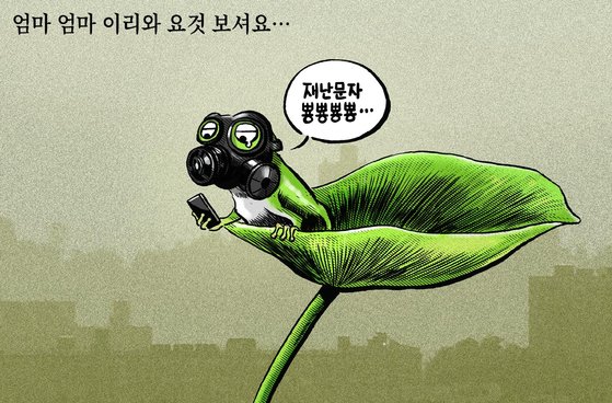 만평 이미지