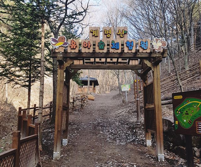 천년숲 유아숲체험원 이미지