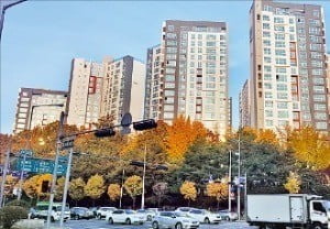 달루체 이미지