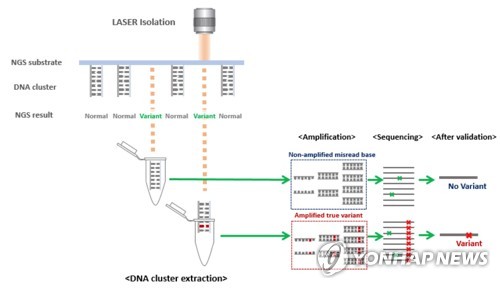 차세대 염기서열 분석(NGS) 오류 검증법 개념도 [서울대 제공]