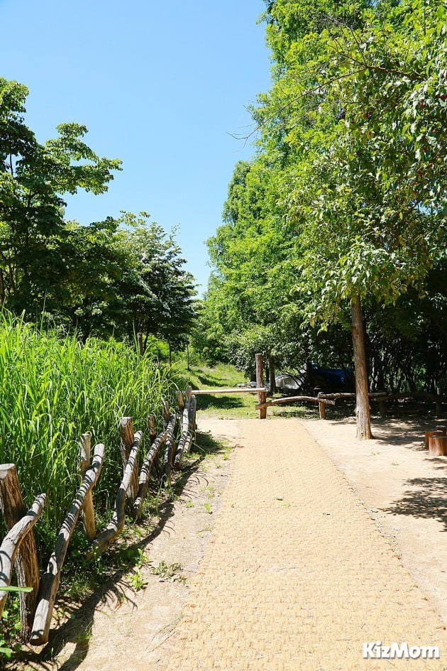 천년숲 유아숲체험원 이미지