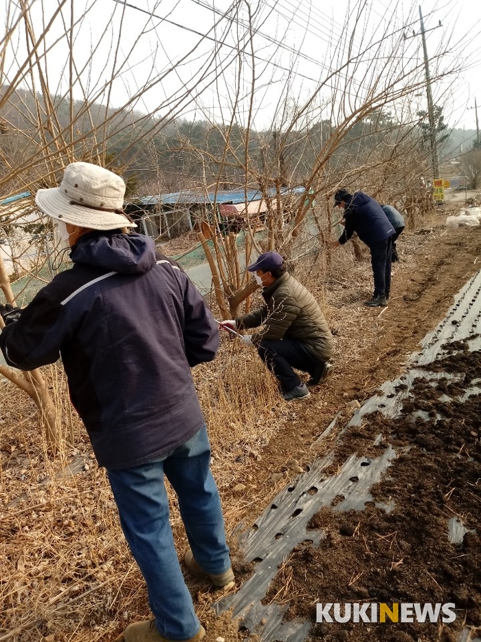 이수산림 이미지