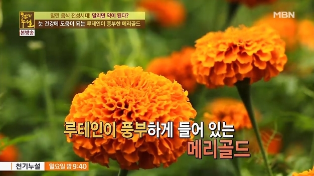메리골드 이미지