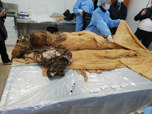 두곡 고응척 선생 미라 (대구=연합뉴스) 지난 1월 경북 구미에서 조선 중기 문인이자 학자인 두곡 고응척(1531∼1605) 선생 미라가 발견됐다.2019.3.10 [안동 고씨 문중 제공]