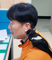 영등포소방서(여의도119안전센터) 이미지