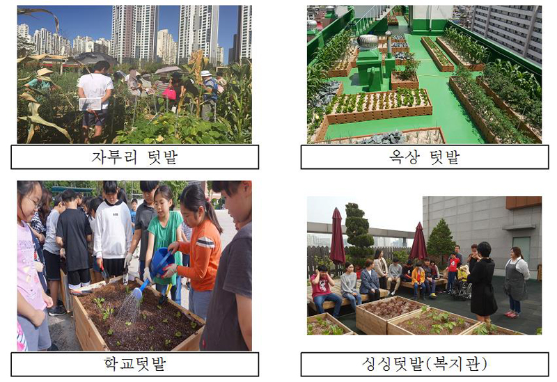 텃밭 이미지