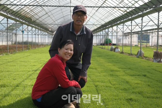 원주생명농업 이미지