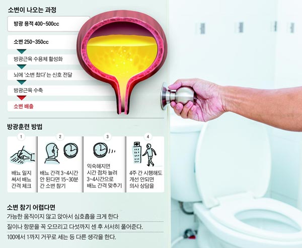 /그래픽=이철원