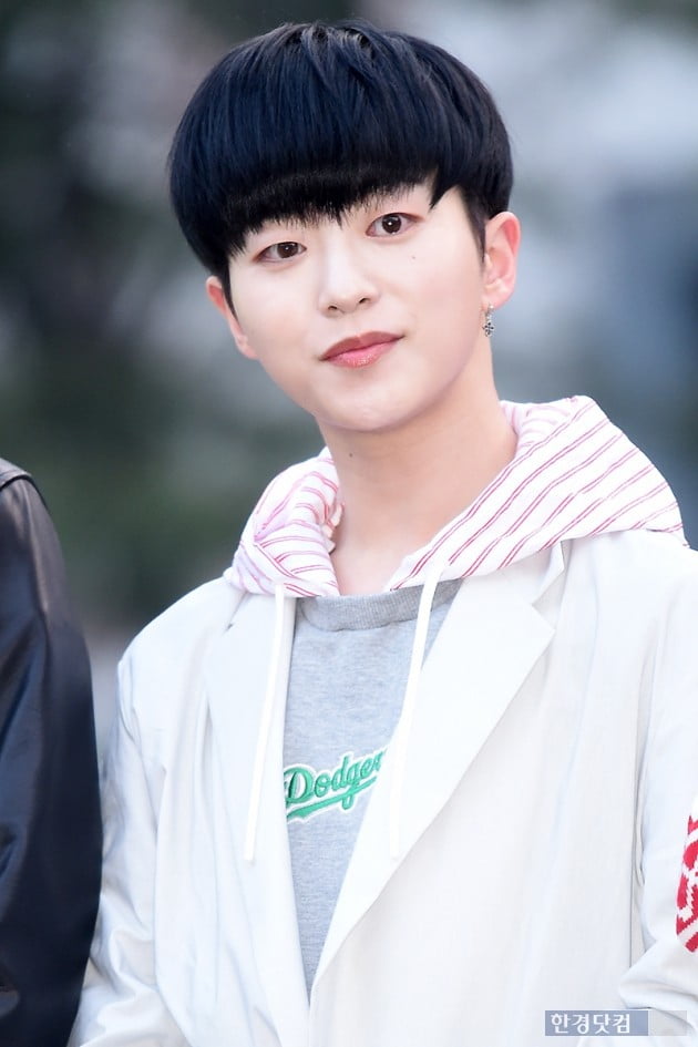 라운 이미지
