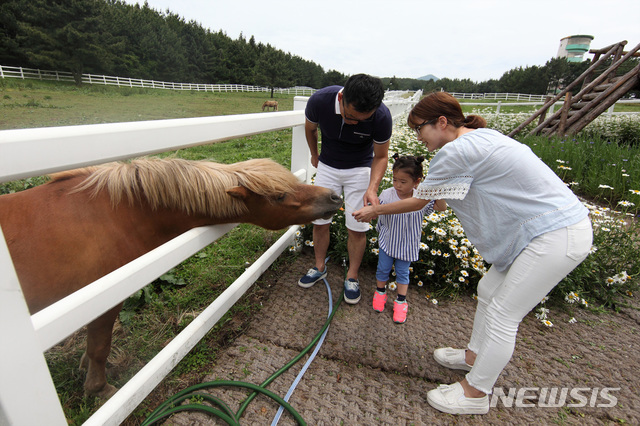 하나투어제주주 이미지