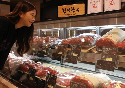 황금미트 이미지