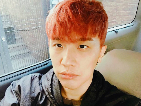 쿠시 이미지