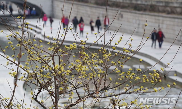 산수유권역 이미지