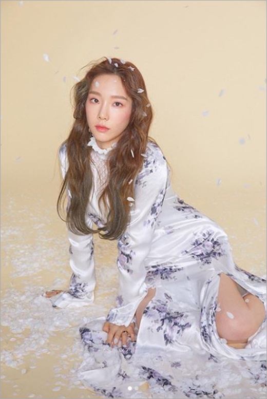 꽃잎패션 이미지