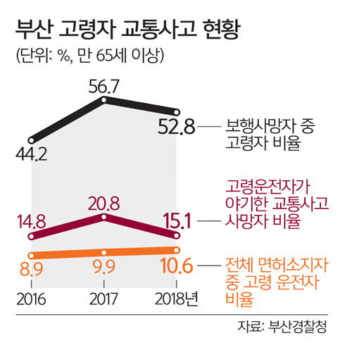 고령신발센타 이미지