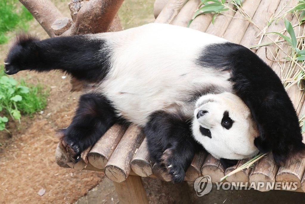 봄날오후 이미지