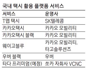 블루카카오 이미지