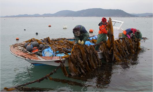 완도유치원 이미지