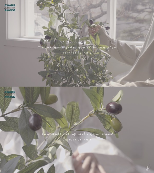 어웨이크 엔터테인먼트 이미지
