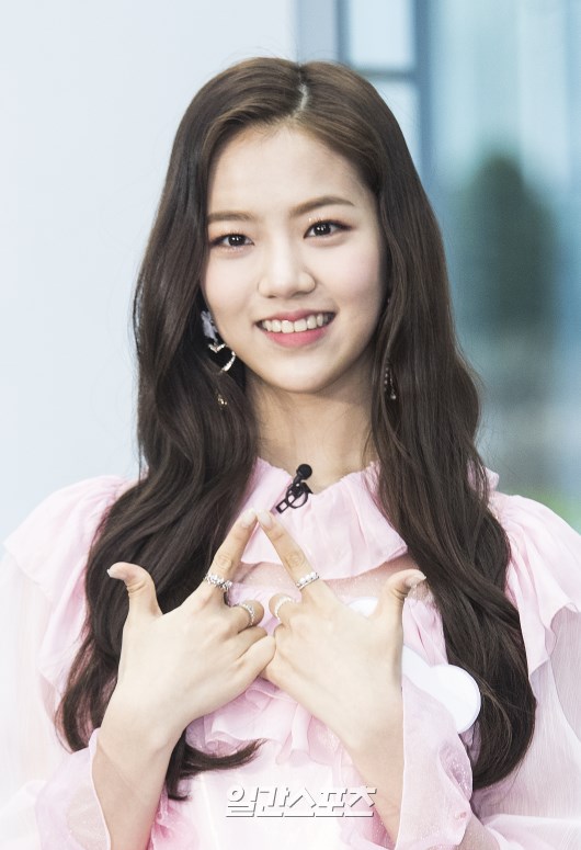 꽃레나 이미지