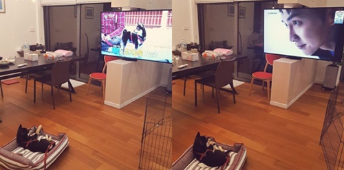 Actor Lee Seung-gi gave his first public opinion on his dog.Lee Seung-gi posted a picture on his instagram on the 24th with an article entitled Well... Youre getting a good screen. # Deacon # First debut # Pepero # Humility # Handsome.In the photo, Lee Seung-gis dog, a dog, is watching the SBS Death and Deacon broadcast, where he appears.In the episode of The All The Butlers All, animal trainer Kang Hyung-wook appeared as master, and Lee Seung-gi, Lee Hong-ki, Crush and Bora appeared with their pet dogs to attract attention.I wanted to meet Kang after I brought him in, Lee said. At a good time for sizing up, Lee said.