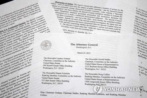 Probe 이미지