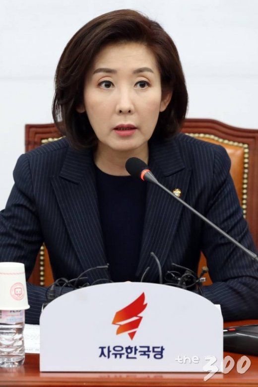 나경원 자유한국당 원내대표가 이달 17일 오후 서울 여의도 국회에서 열린 '좌파 이념독재 4대악법 저지' 긴급 대책회의에서 모두발언을 하고 있다. /사진=이동훈 기자