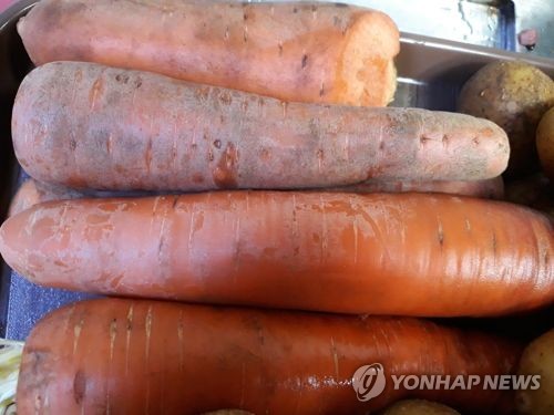뿌리축산 이미지
