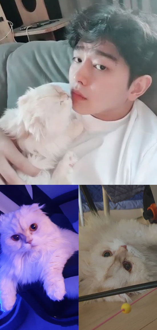 공감 이미지