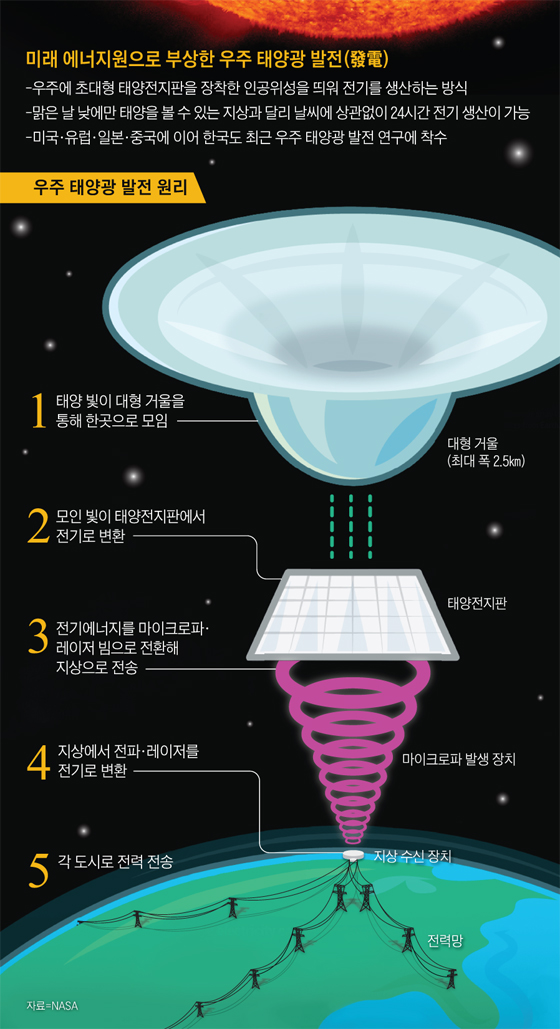 그래픽=최혜인